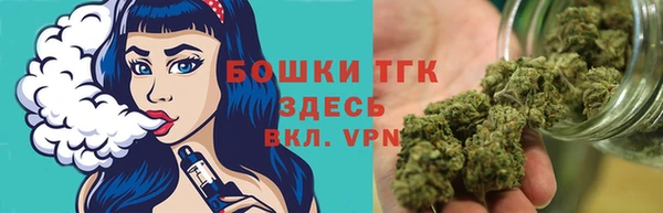 шишки Баксан