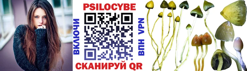 Псилоцибиновые грибы Cubensis  Сосновый Бор 